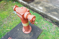 Free/hydrant