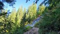 Hike/forest1