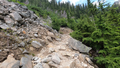 Hike/forest2