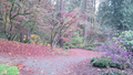 Hike/garden3